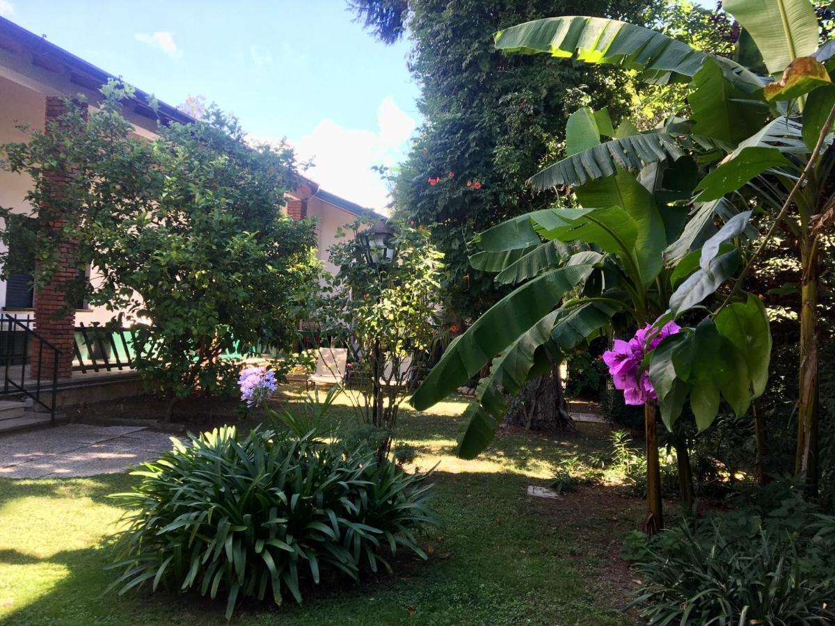 Casa Vacanze Gabbianella Villa Con Giardino Lungolago Maderno Toscolano Maderno Exterior photo
